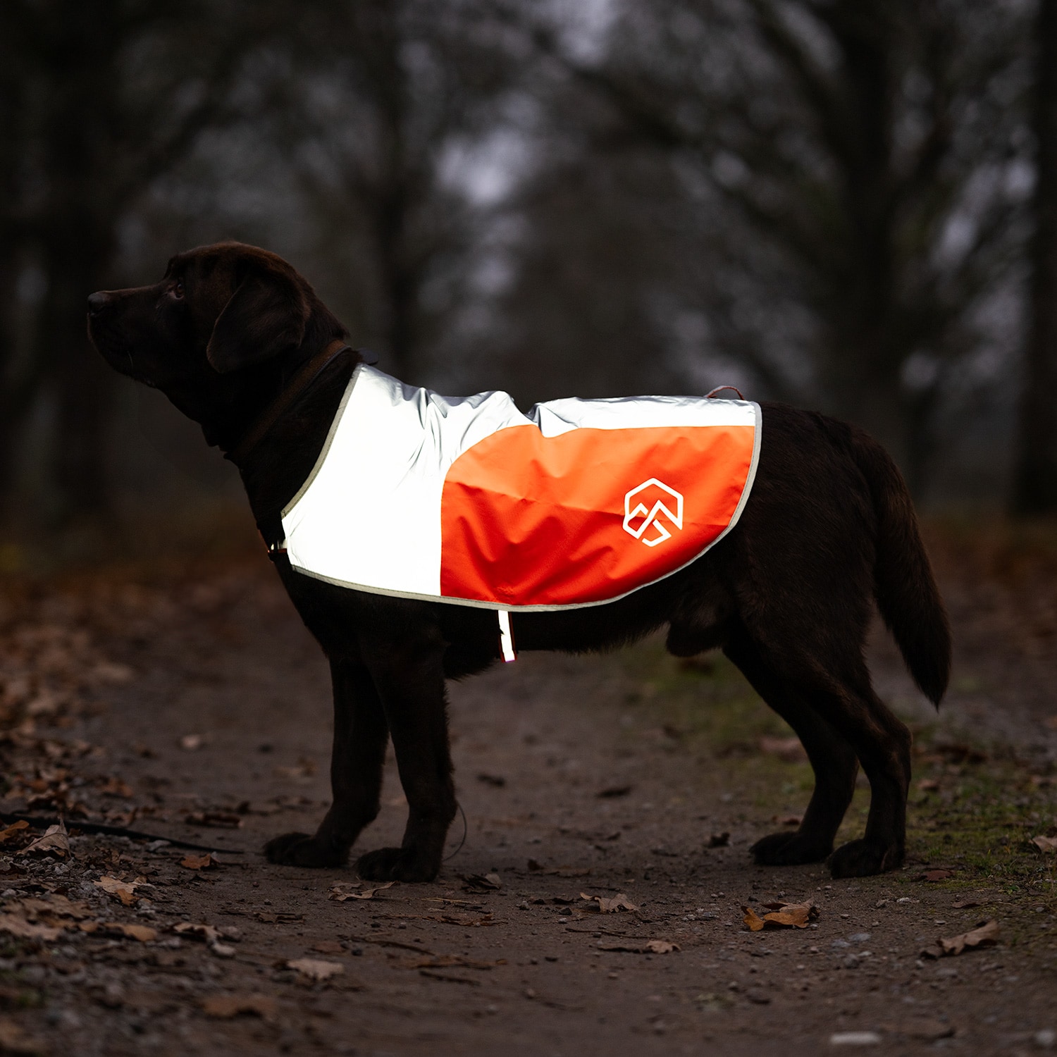 Reflecterend vest Hond Ringo traxx®