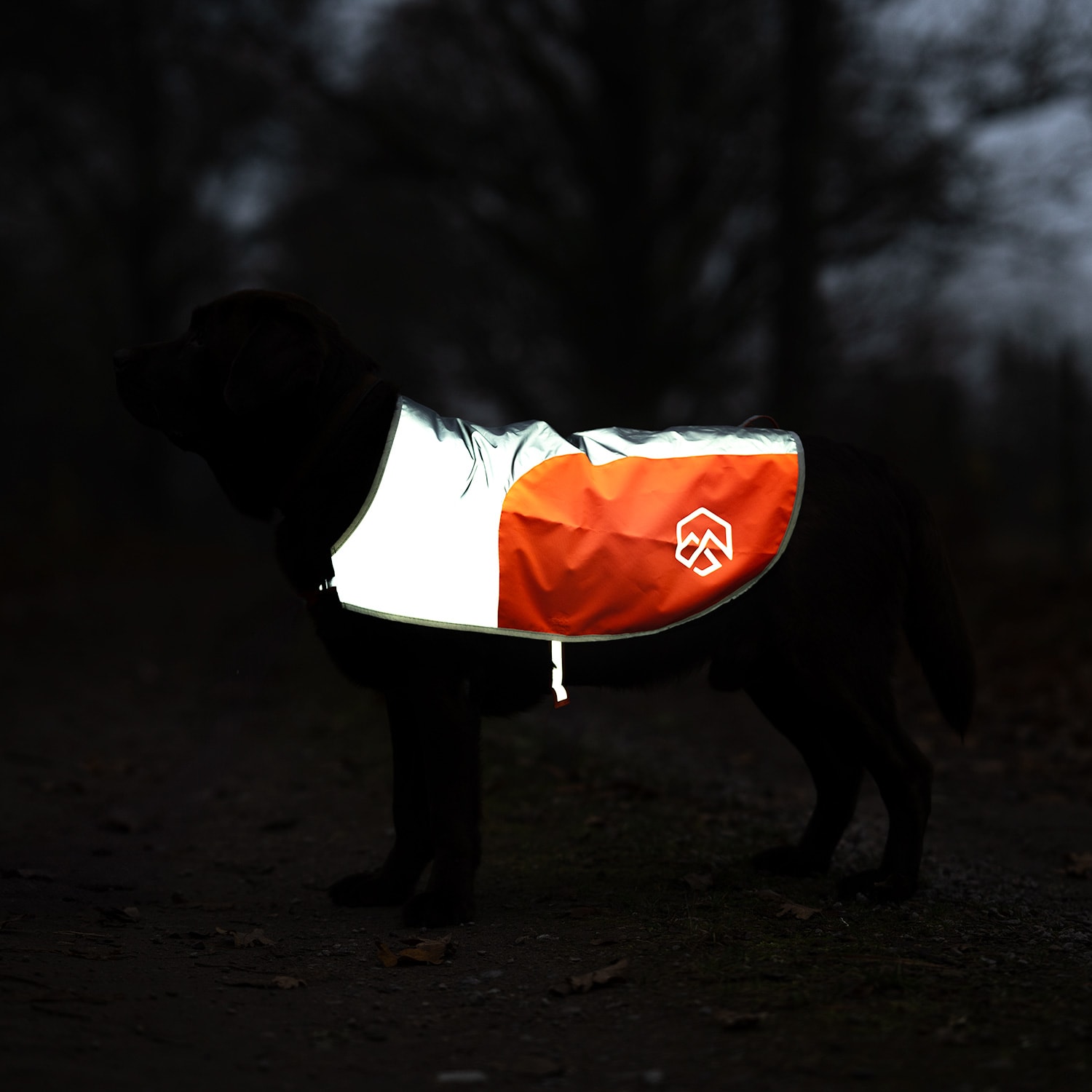 Reflecterend vest Hond Ringo traxx®