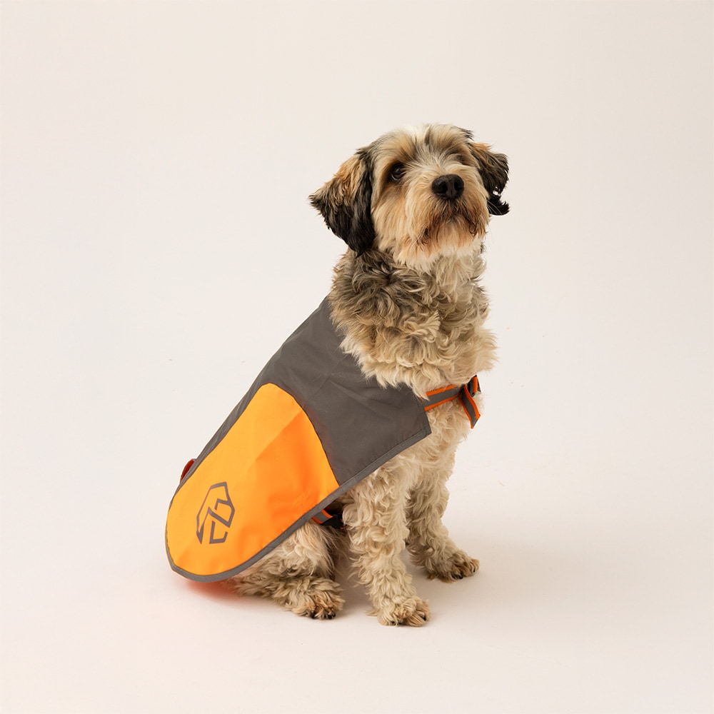 Reflecterend vest Hond Ringo traxx®