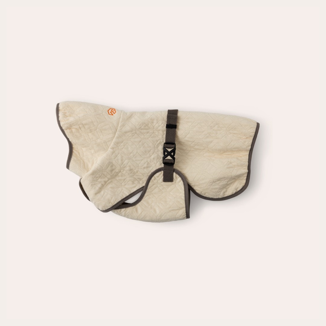 Jas Carter Dry traxx®