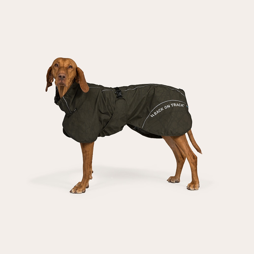 Regendeken Hond Bay Back on Track®