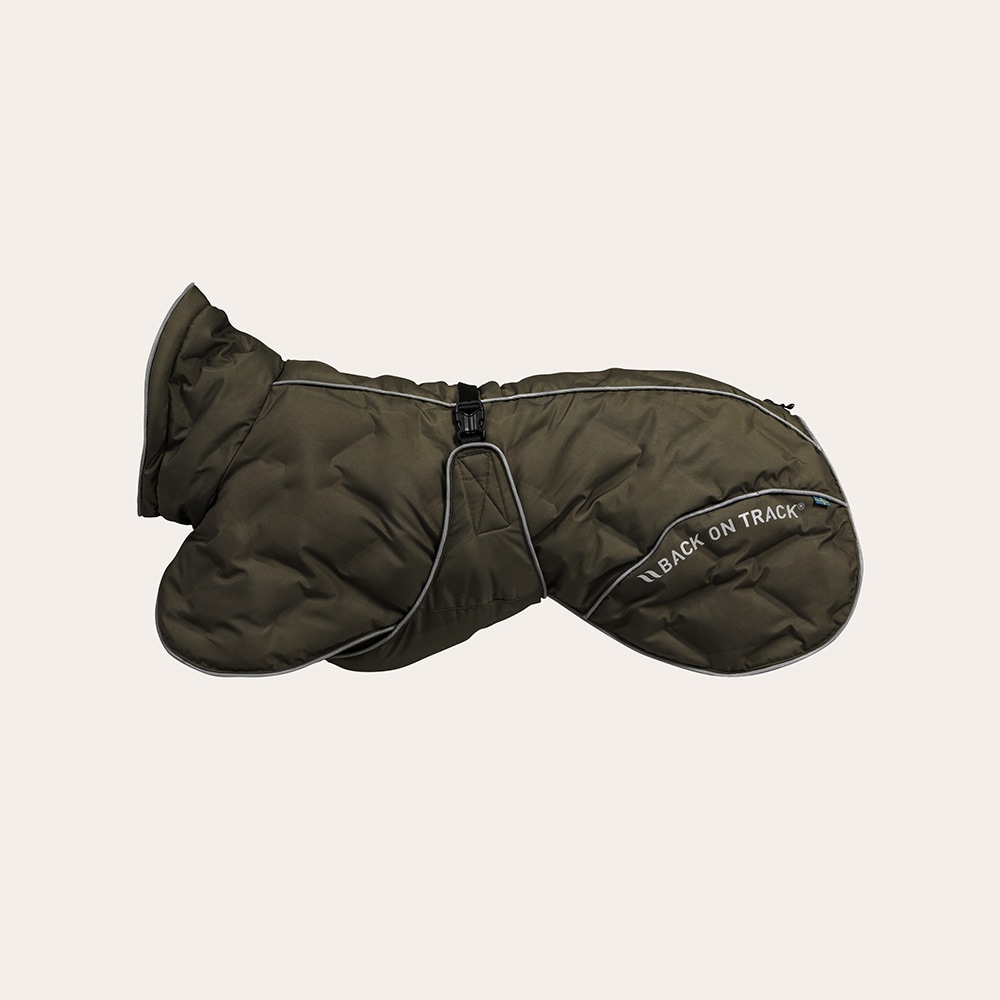 Jas  Bay Back on Track®