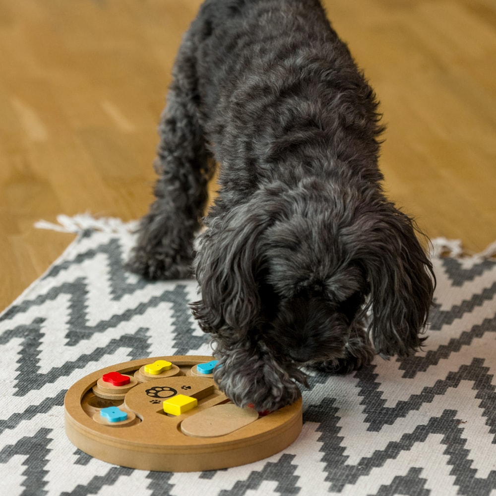 Activiteitenbord traxx®