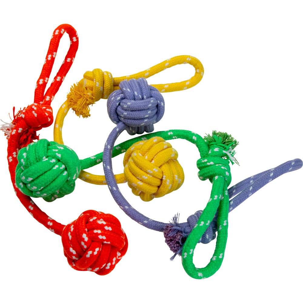 Hondenspeelgoed  Rover traxx®