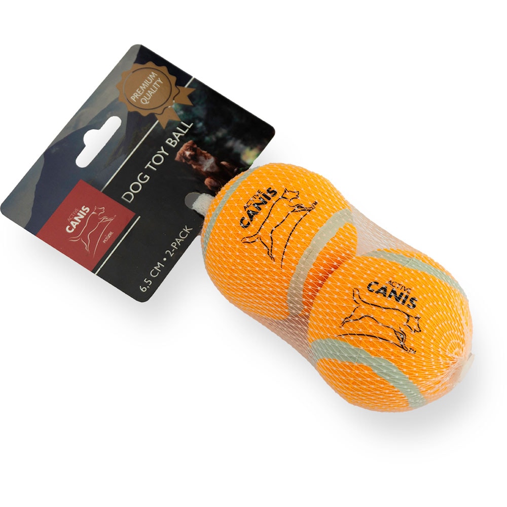 Tennisbal  2-pack Active Canis