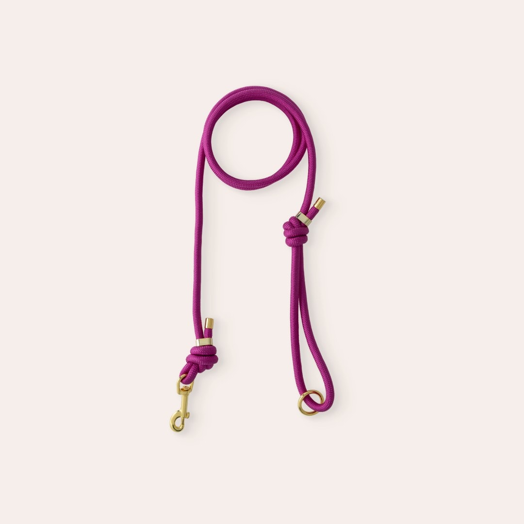 Lijn Hond April traxx®