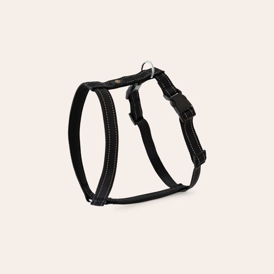 Y-tuigje Base 2.0 traxx®