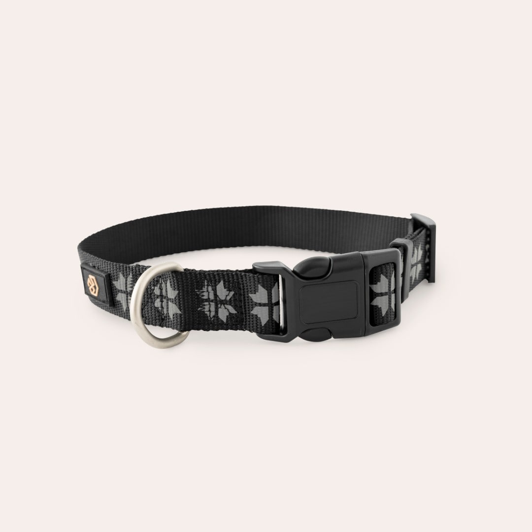 Reflecterende halsband Hond Kelso traxx®