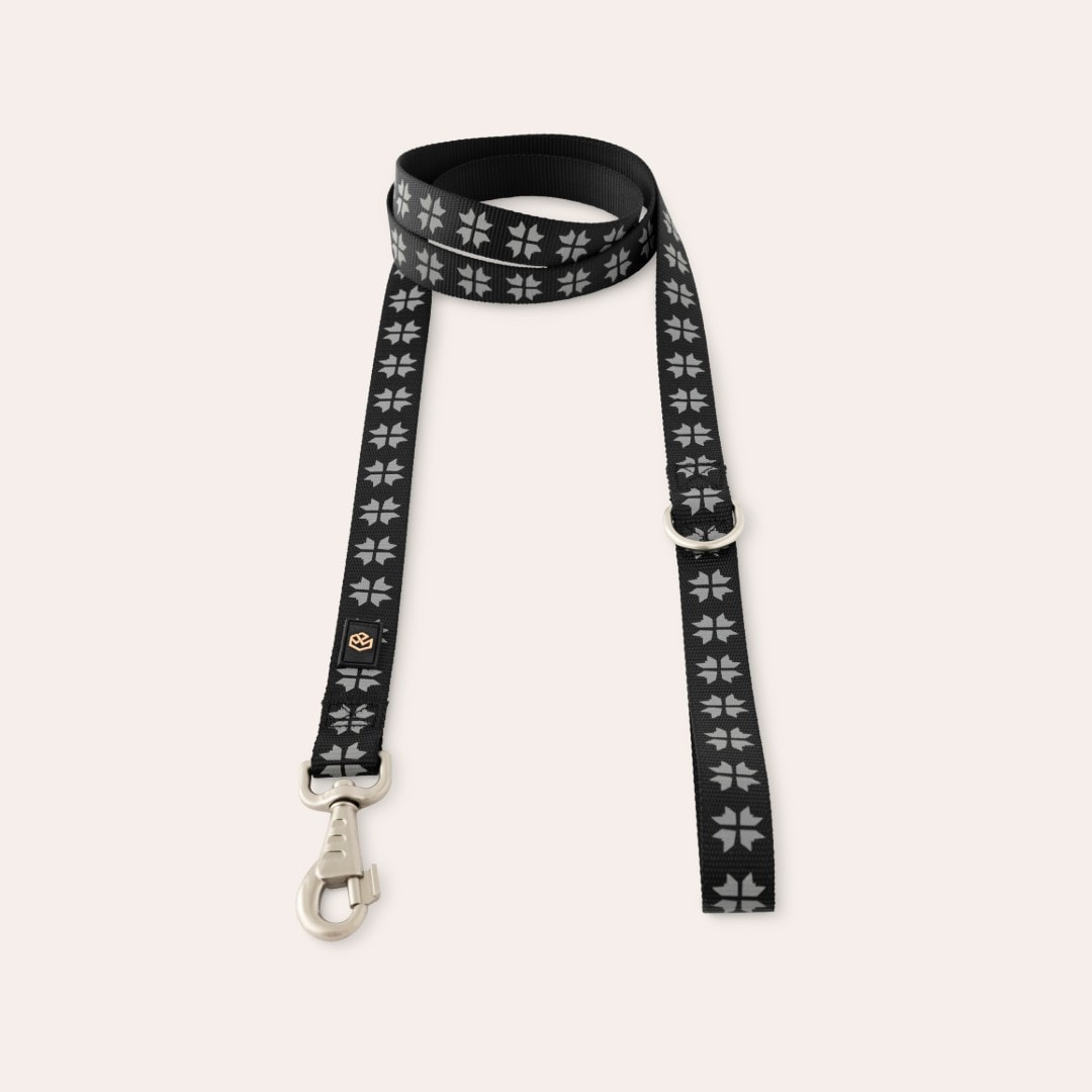 Reflecterende lijn Hond Kelso traxx®