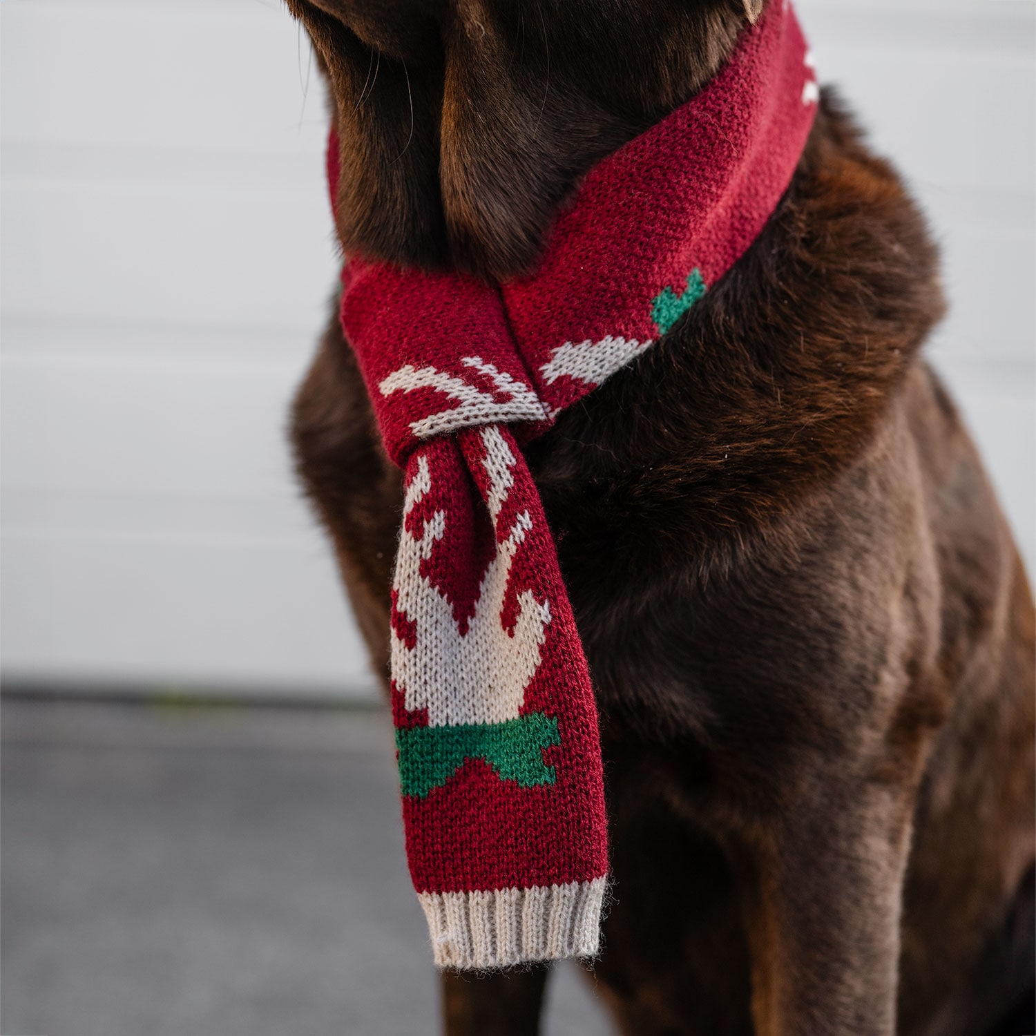 Sjaal Hond Christmas traxx®
