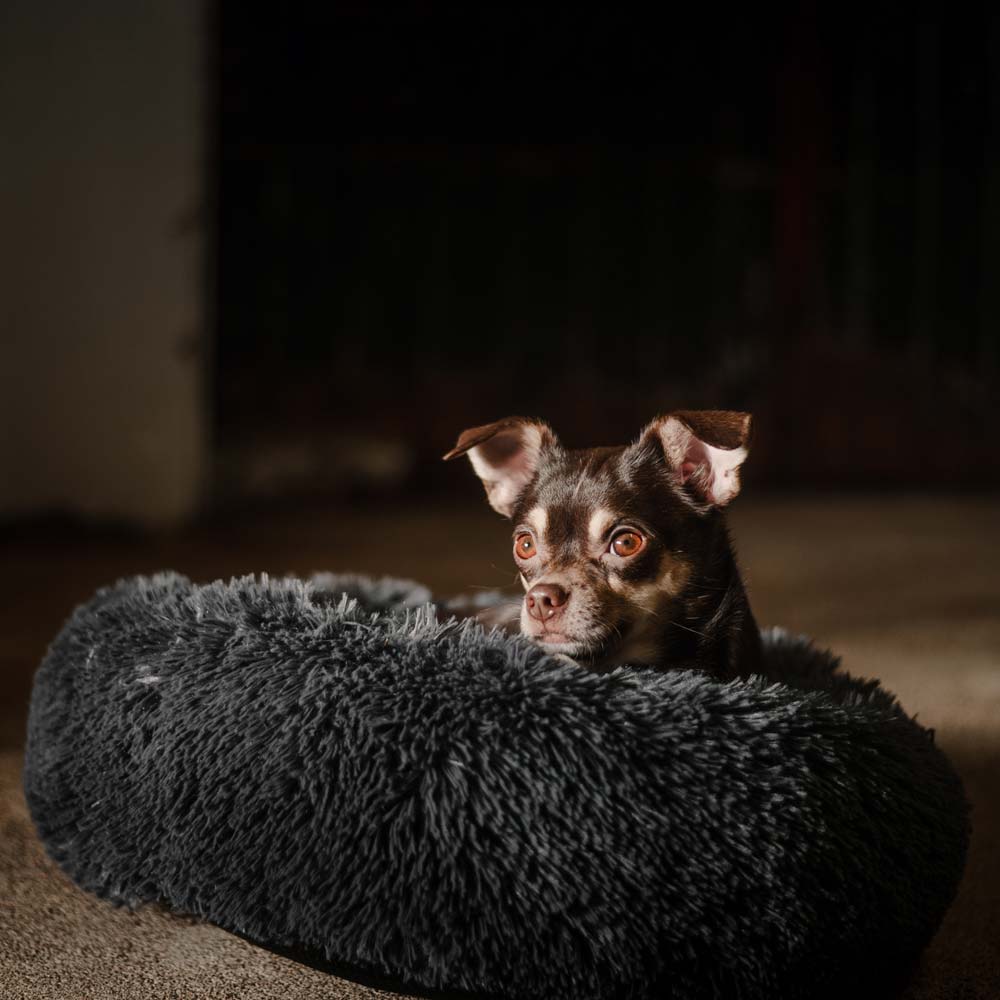 Hondenbed  Gizmo traxx®