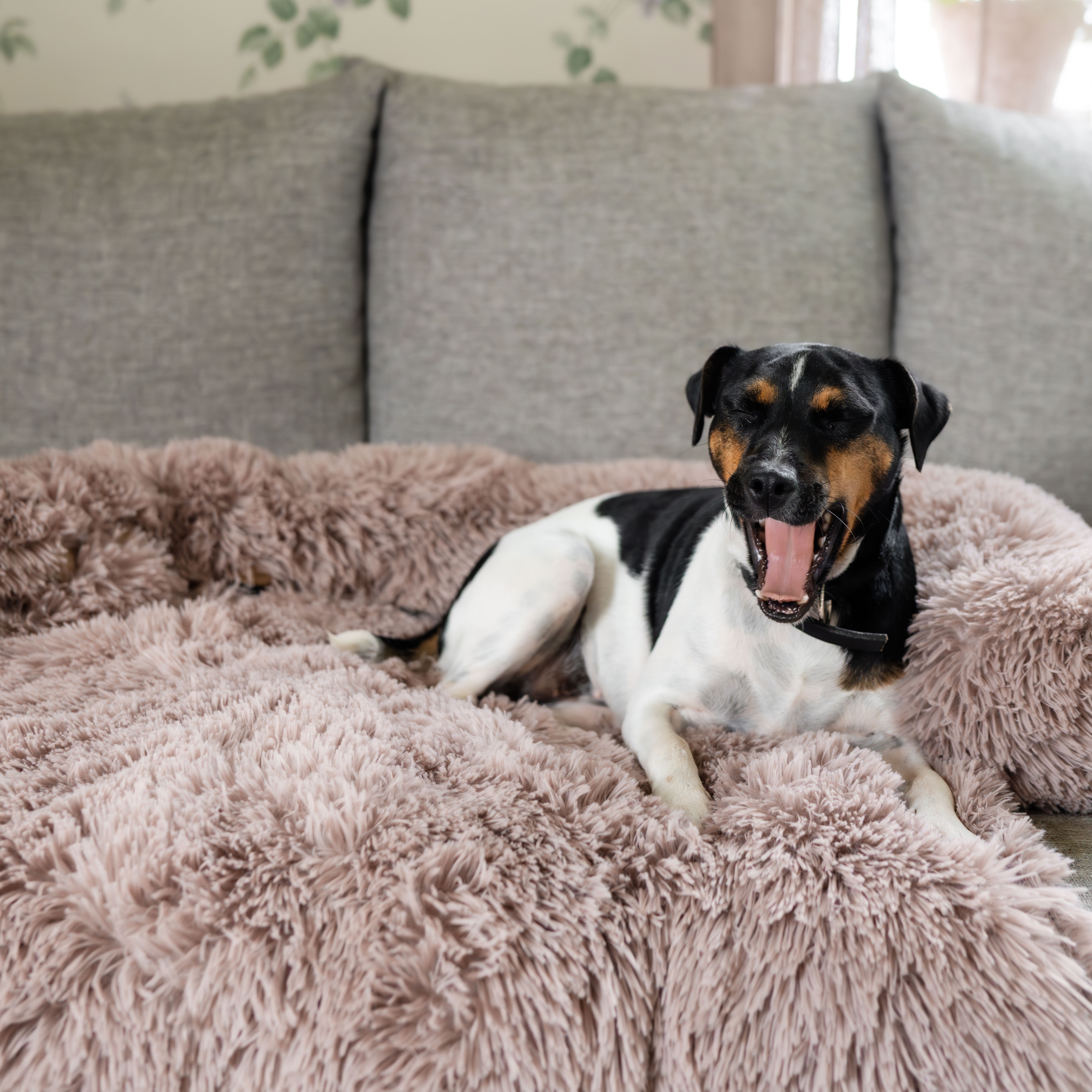 Hondenbed  Pella traxx®