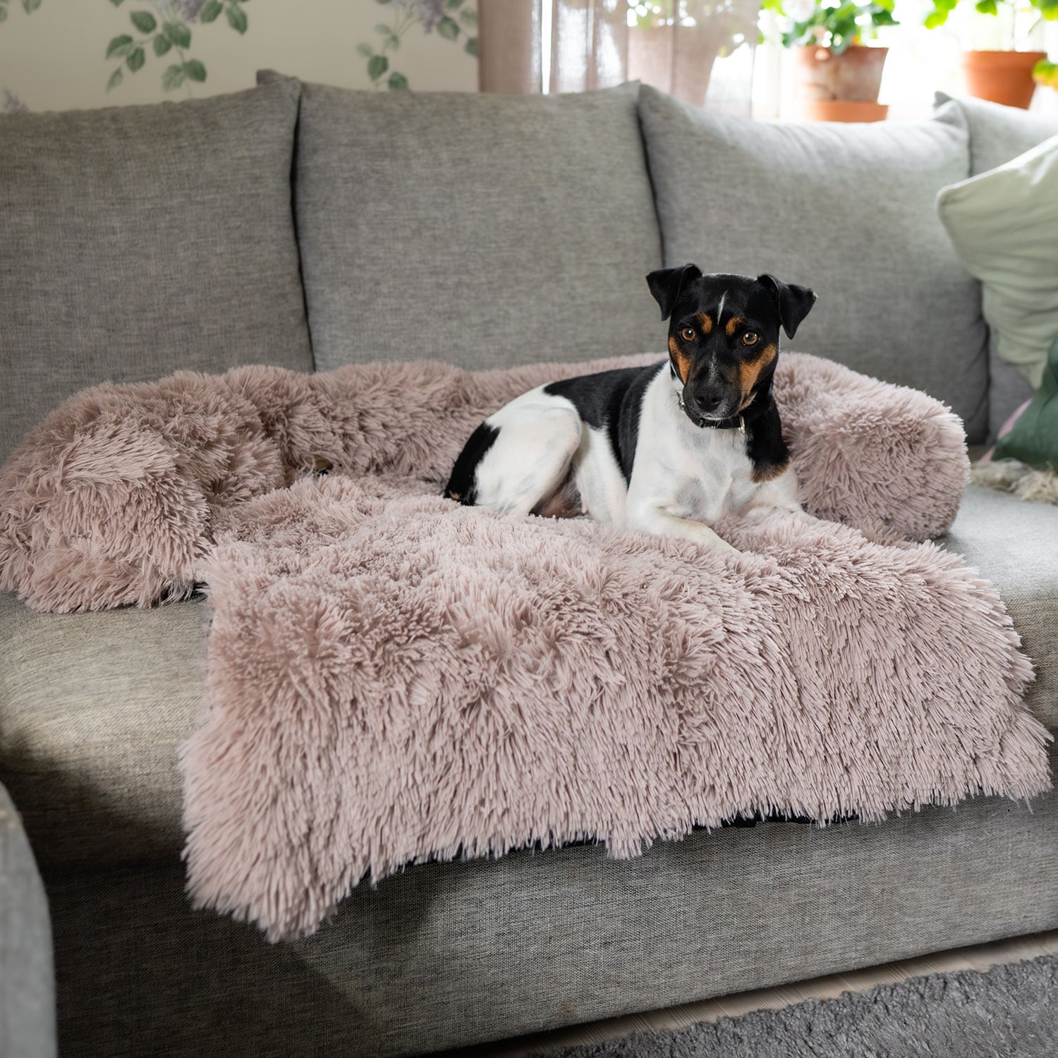 Hondenbed  Pella traxx®