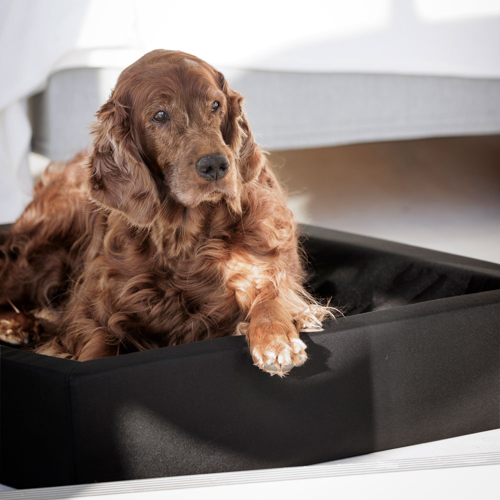 Hondenbed Origo traxx®