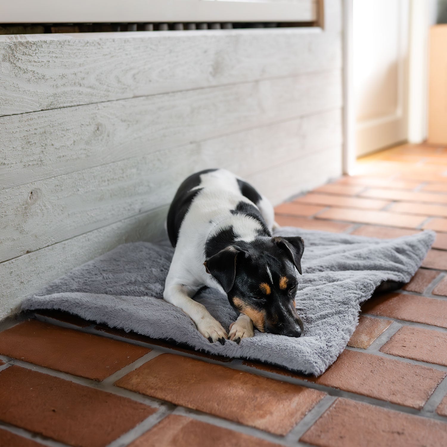Hondenmatras  Self-Warming traxx®