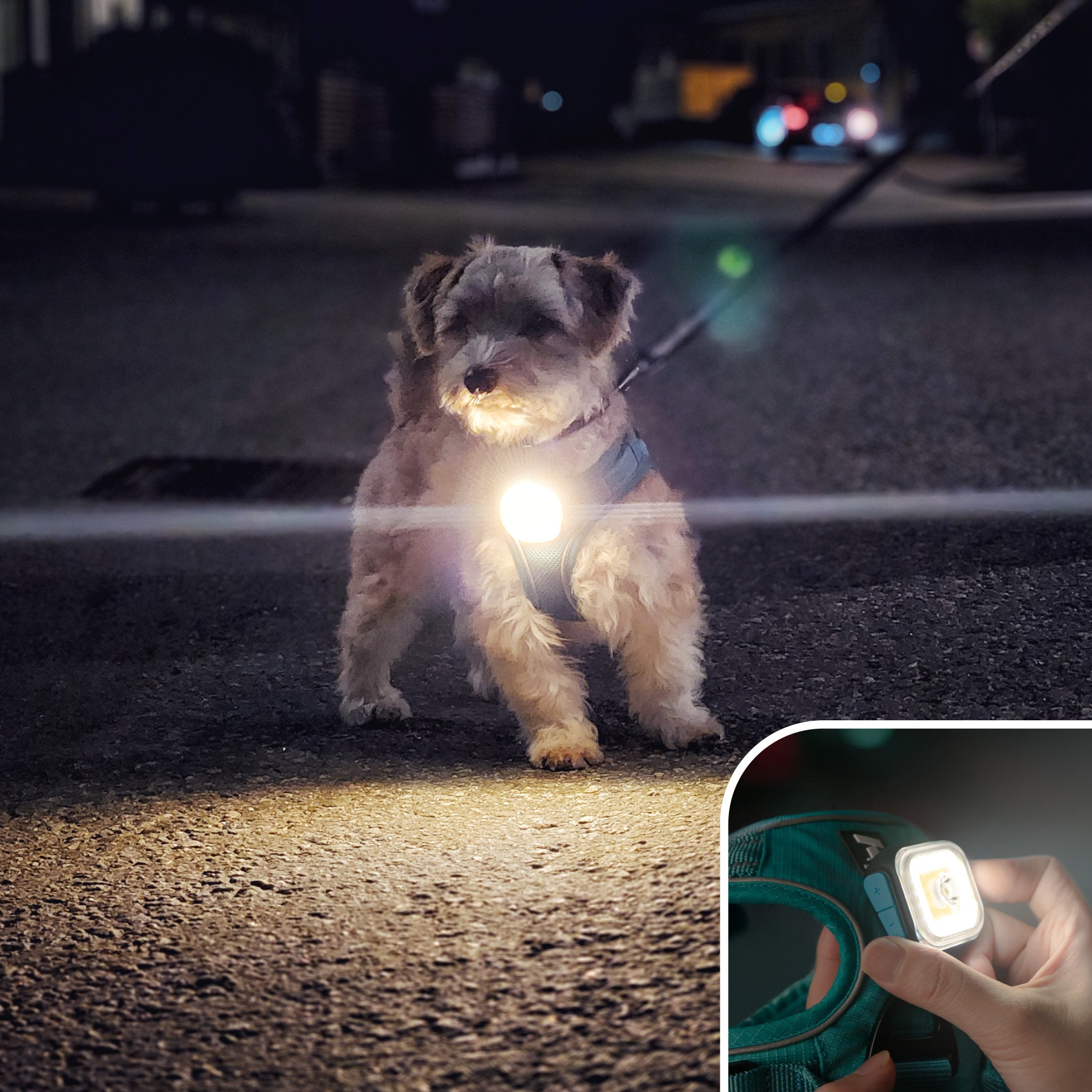 LED verlichting  Light 01 Meolinq