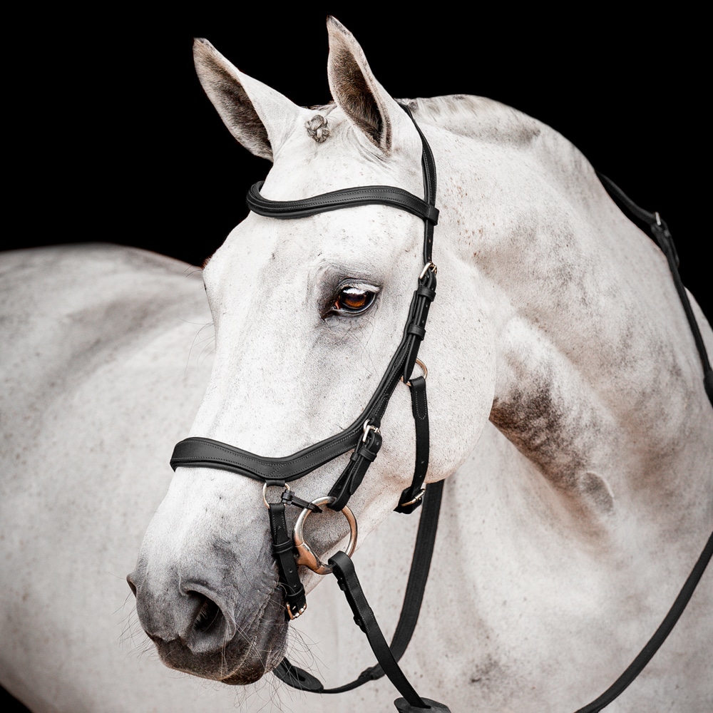 Hoofdstellen  Micklem Competition Horseware®