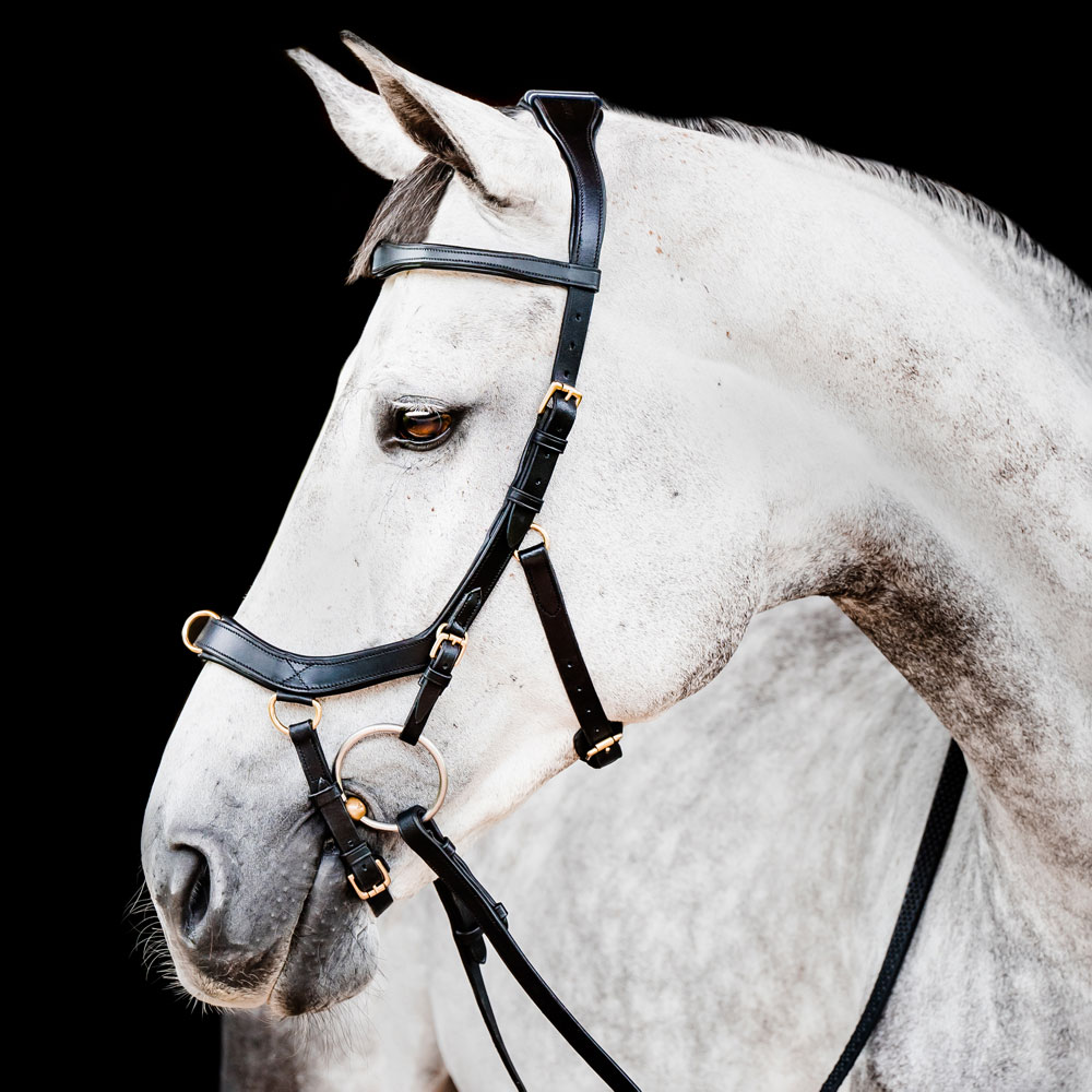 Hoofdstellen  Micklem Multibridle Horseware®