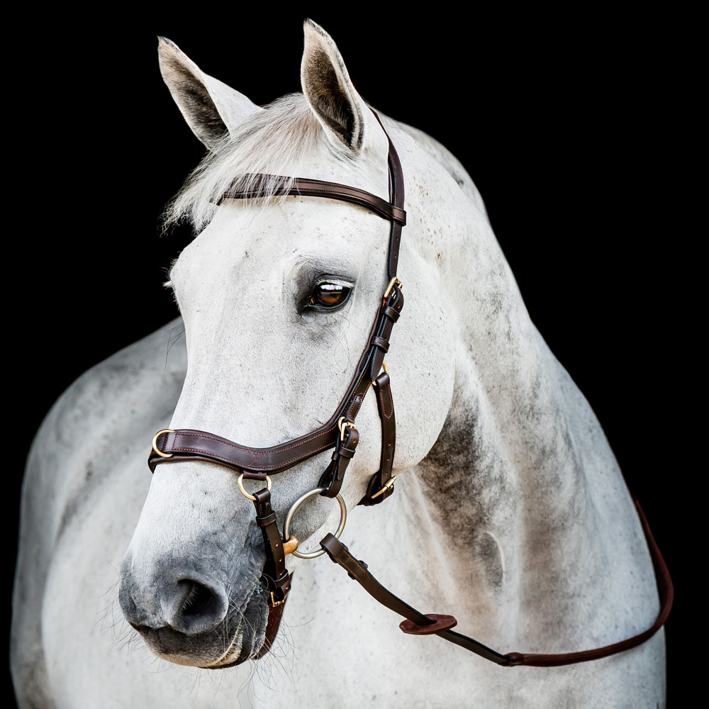 Hoofdstellen  Micklem Multibridle Horseware®