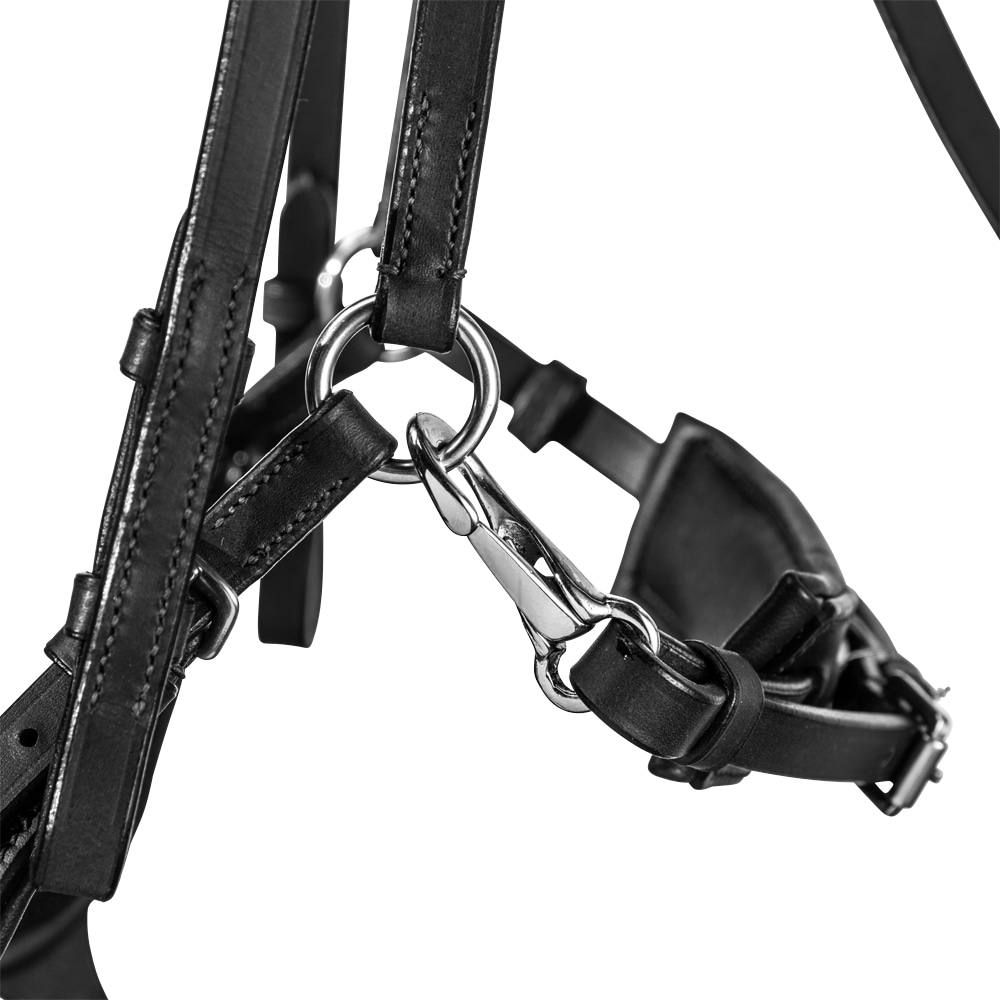 Hoofdstellen Ashton Fairfield®