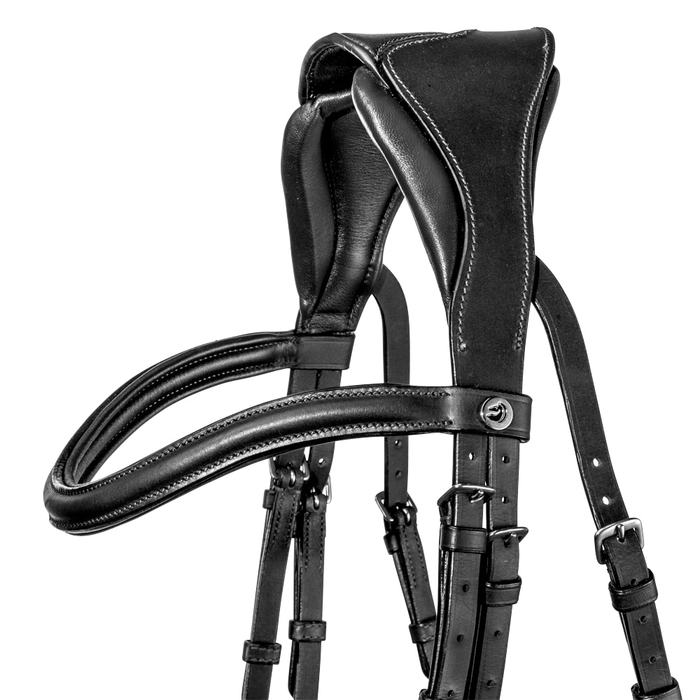 Hoofdstellen Ashton Fairfield®