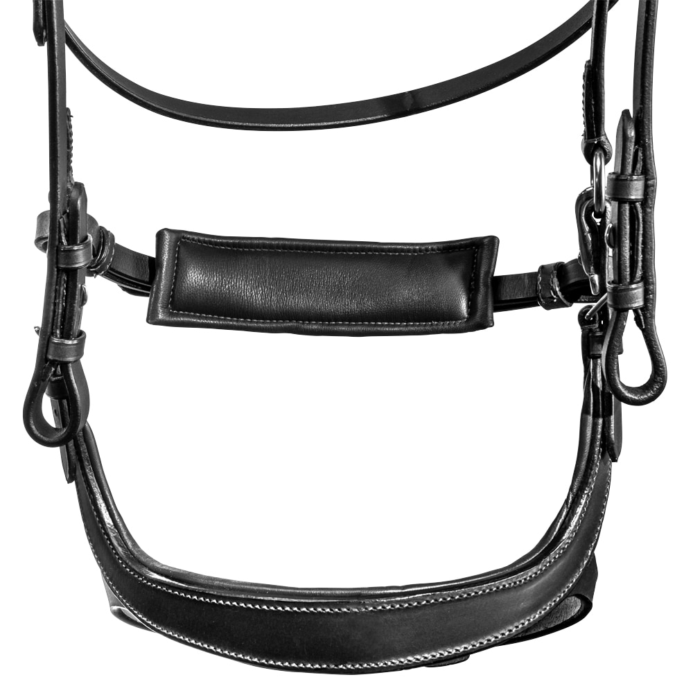 Hoofdstellen Ashton Fairfield®