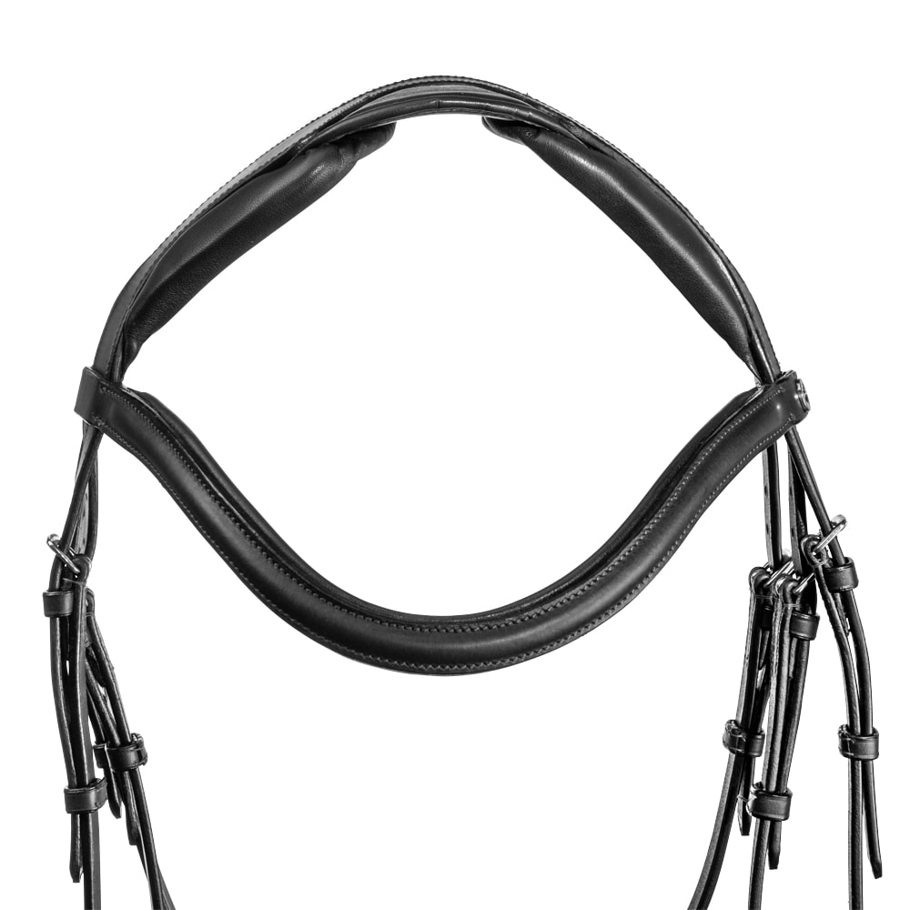 Hoofdstellen Ashton Fairfield®