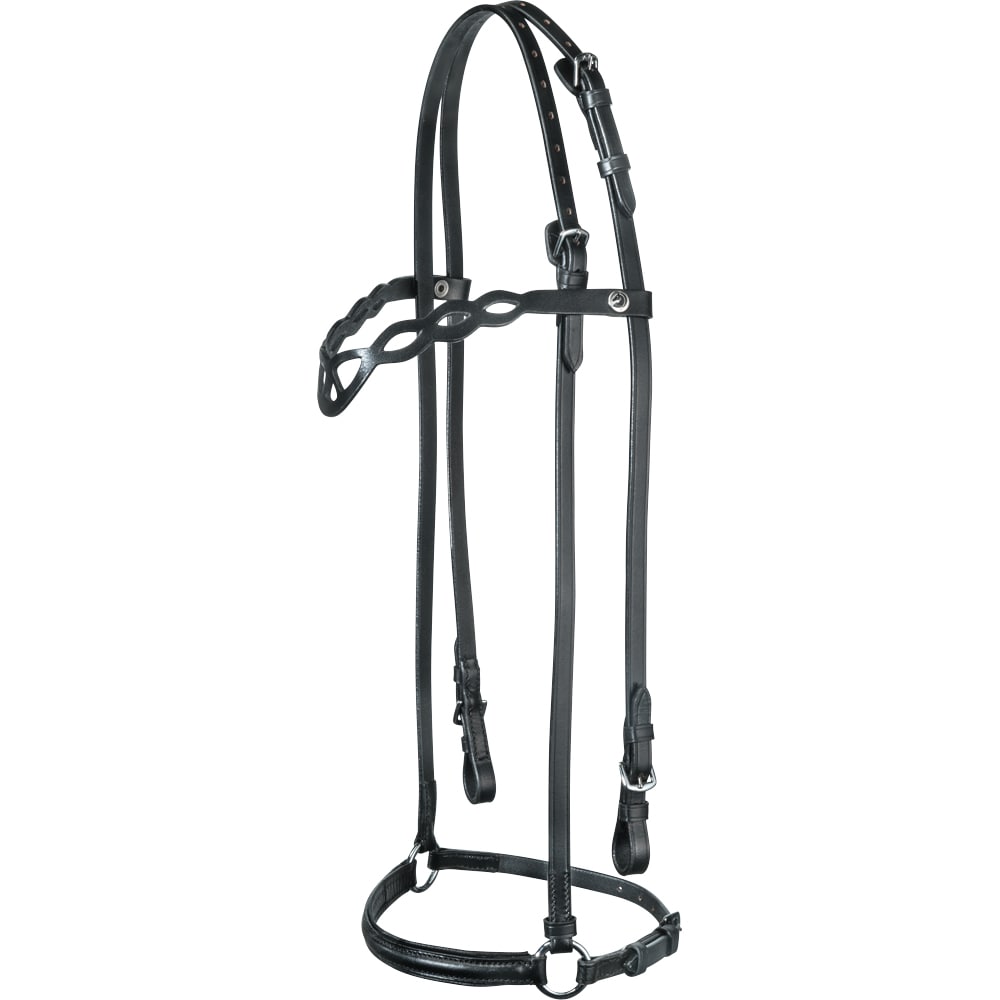 IJslands hoofdstel  Birkir Fairfield®