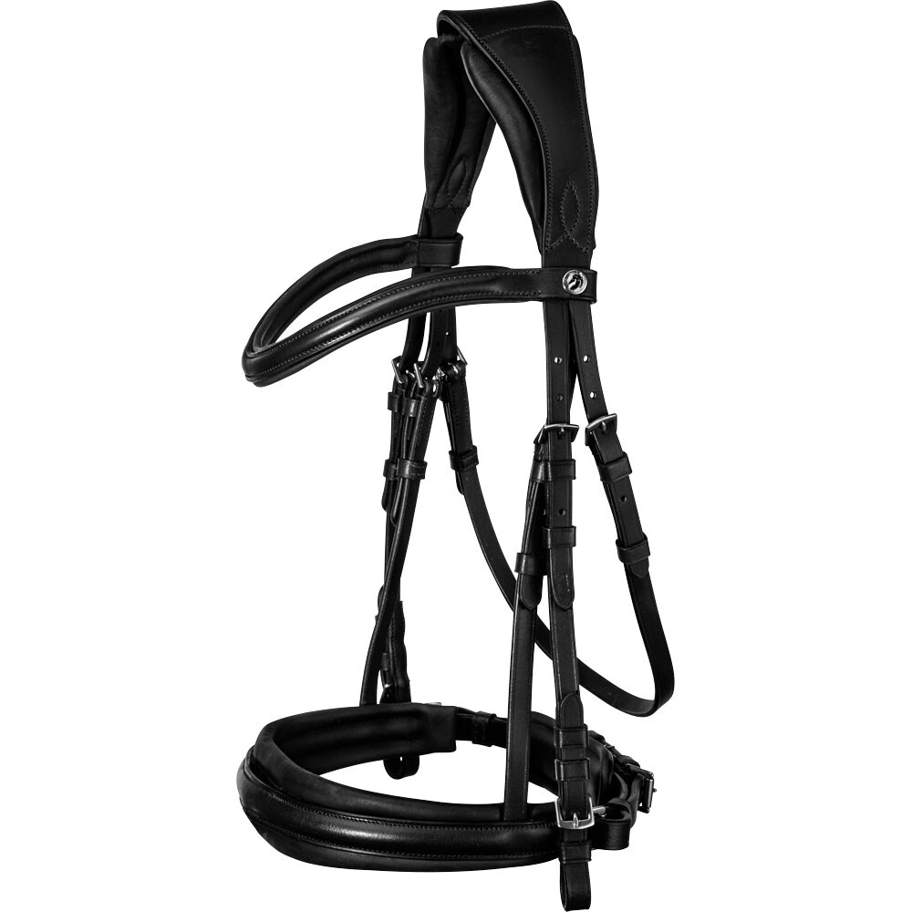 Neusriem gecombineerd met hoofdstel Saffron Fairfield®