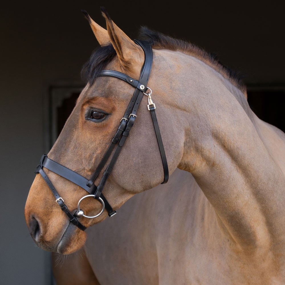 Neusriem gecombineerd met hoofdstel  Foxton Fairfield®