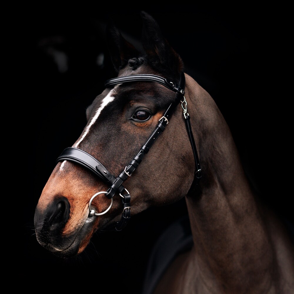 Neusriem gecombineerd met hoofdstel  Heristal Fairfield®