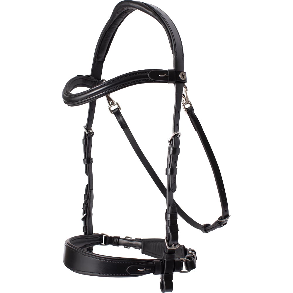 Neusriem gecombineerd met hoofdstel  Heristal Fairfield®