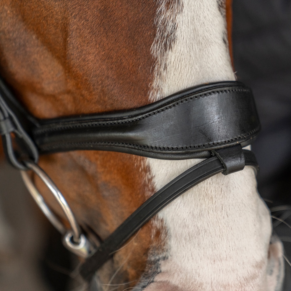 Neusriem gecombineerd met hoofdstel  Contin Fairfield®