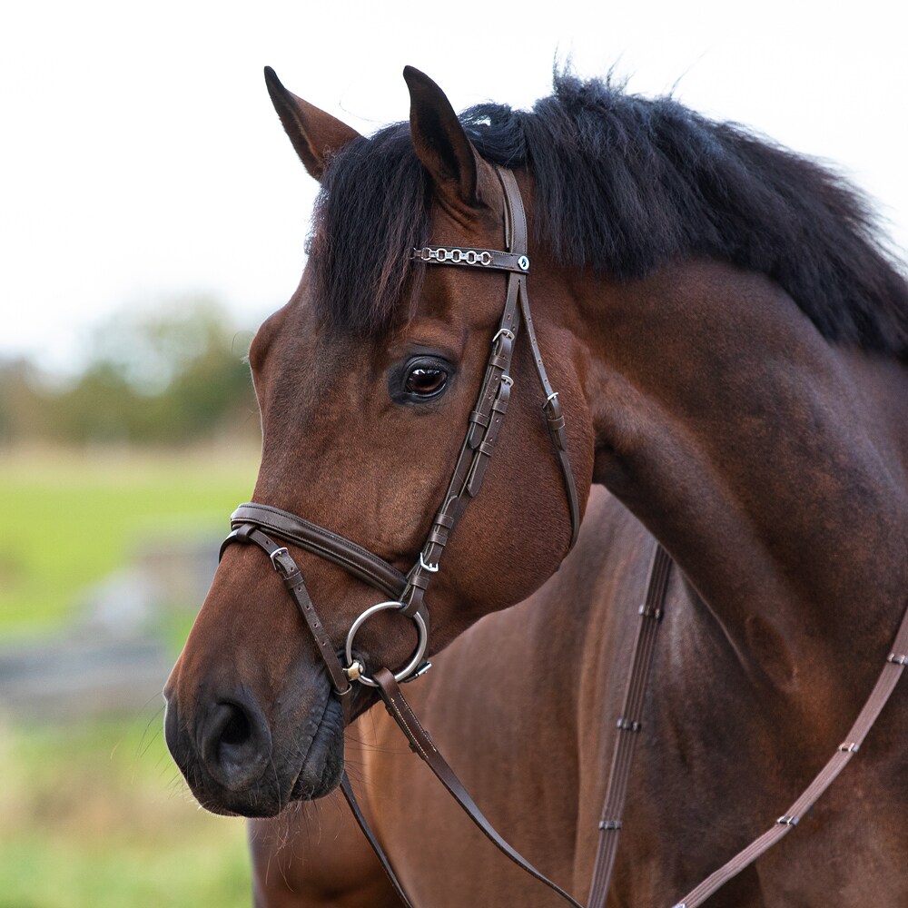 Neusriem gecombineerd met hoofdstel  Lyndon Fairfield®