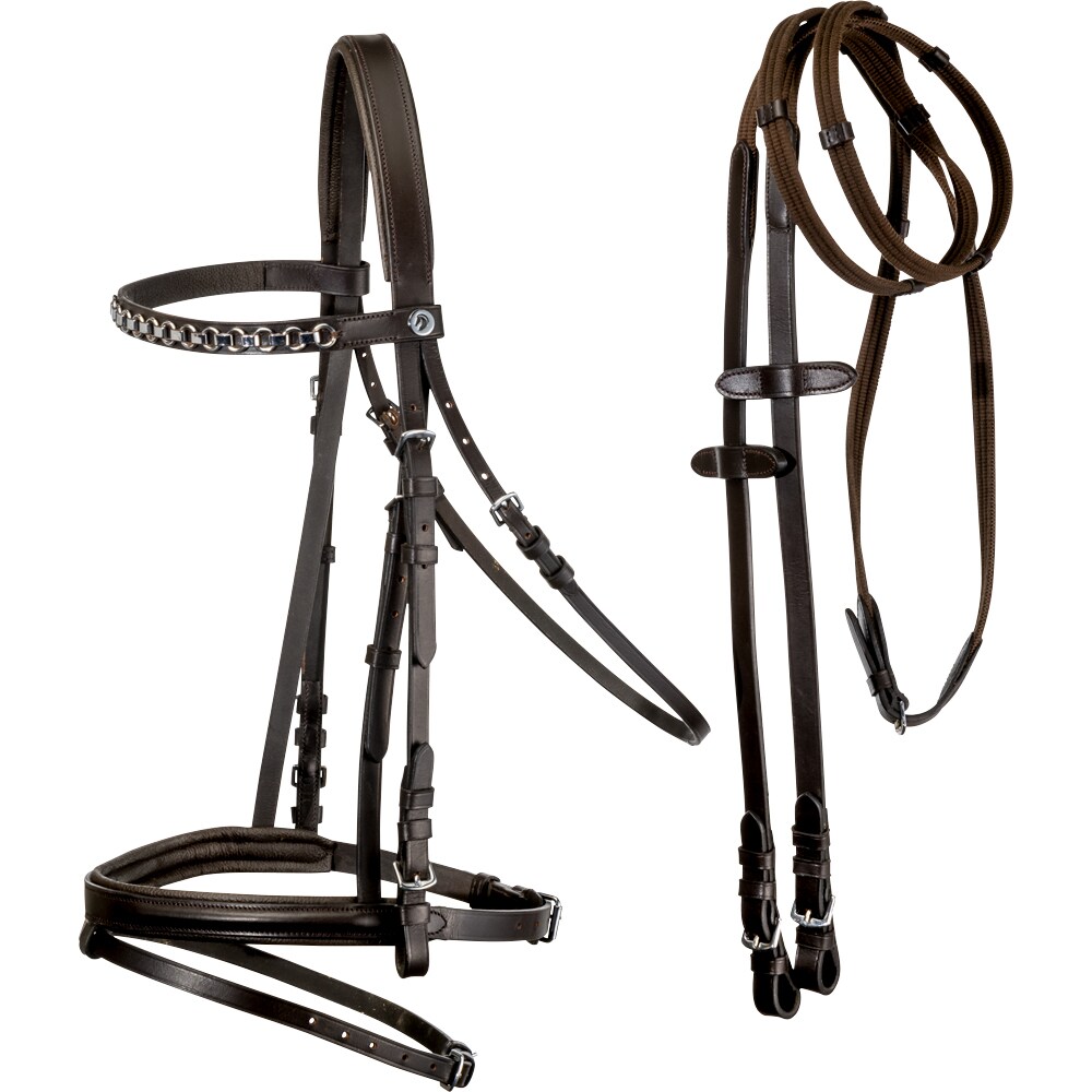 Neusriem gecombineerd met hoofdstel  Lyndon Fairfield®