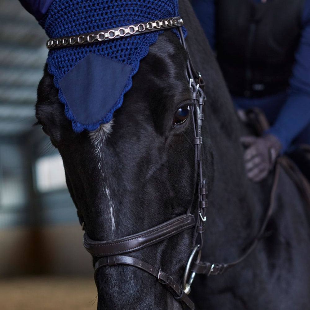 Neusriem gecombineerd met hoofdstel Lyndon Fairfield®