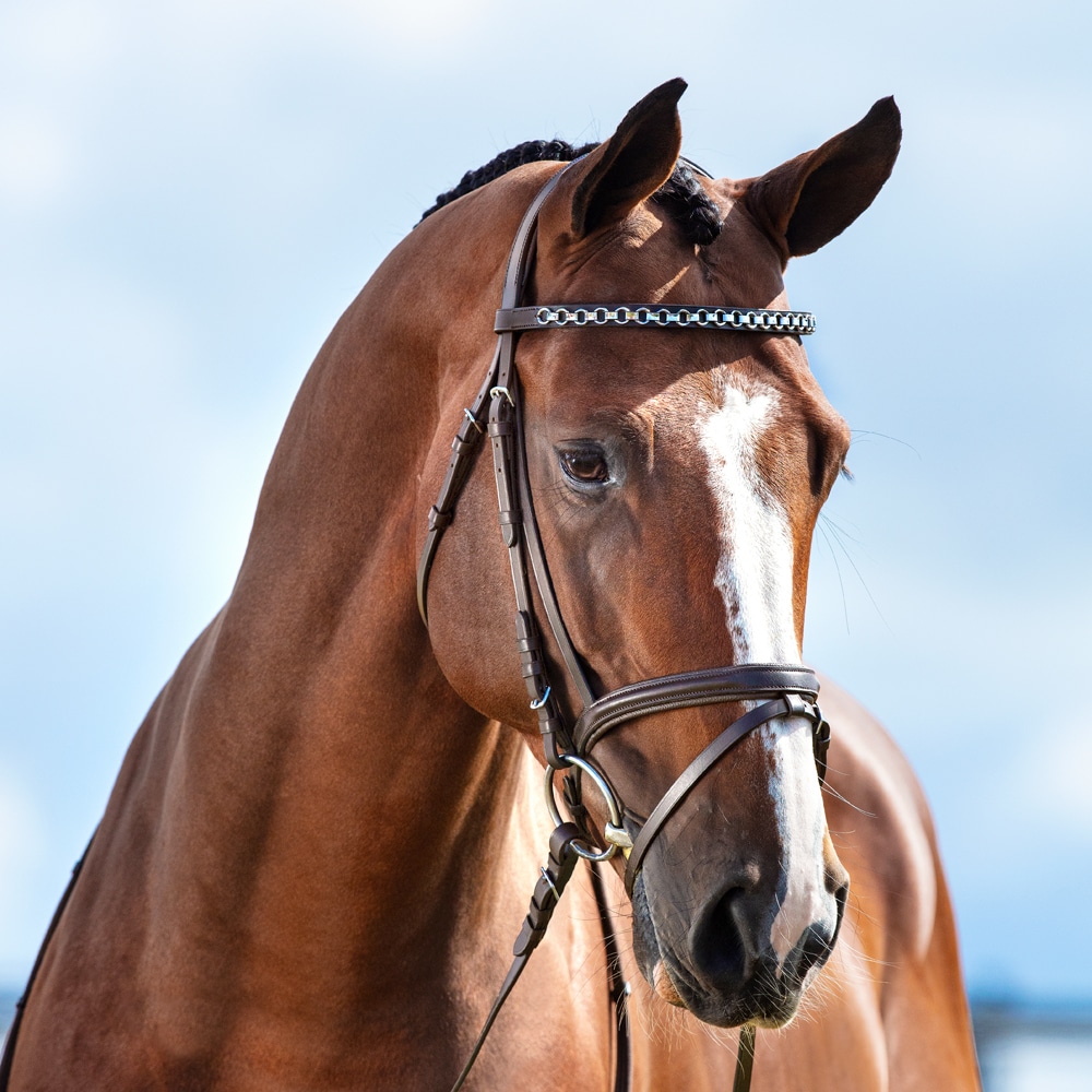 Neusriem gecombineerd met hoofdstel Lyndon Fairfield®