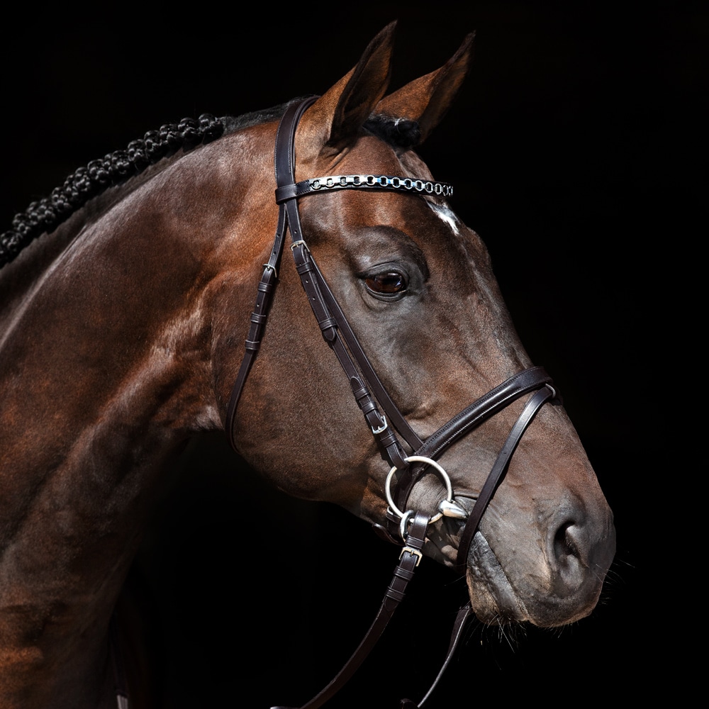 Neusriem gecombineerd met hoofdstel Lyndon Fairfield®