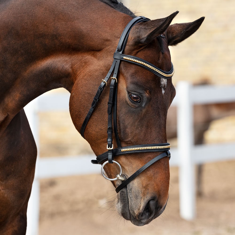 verkrachting schedel Verbieden Neusriem gecombineerd met hoofdstel Axford Fairfield® - Hööks