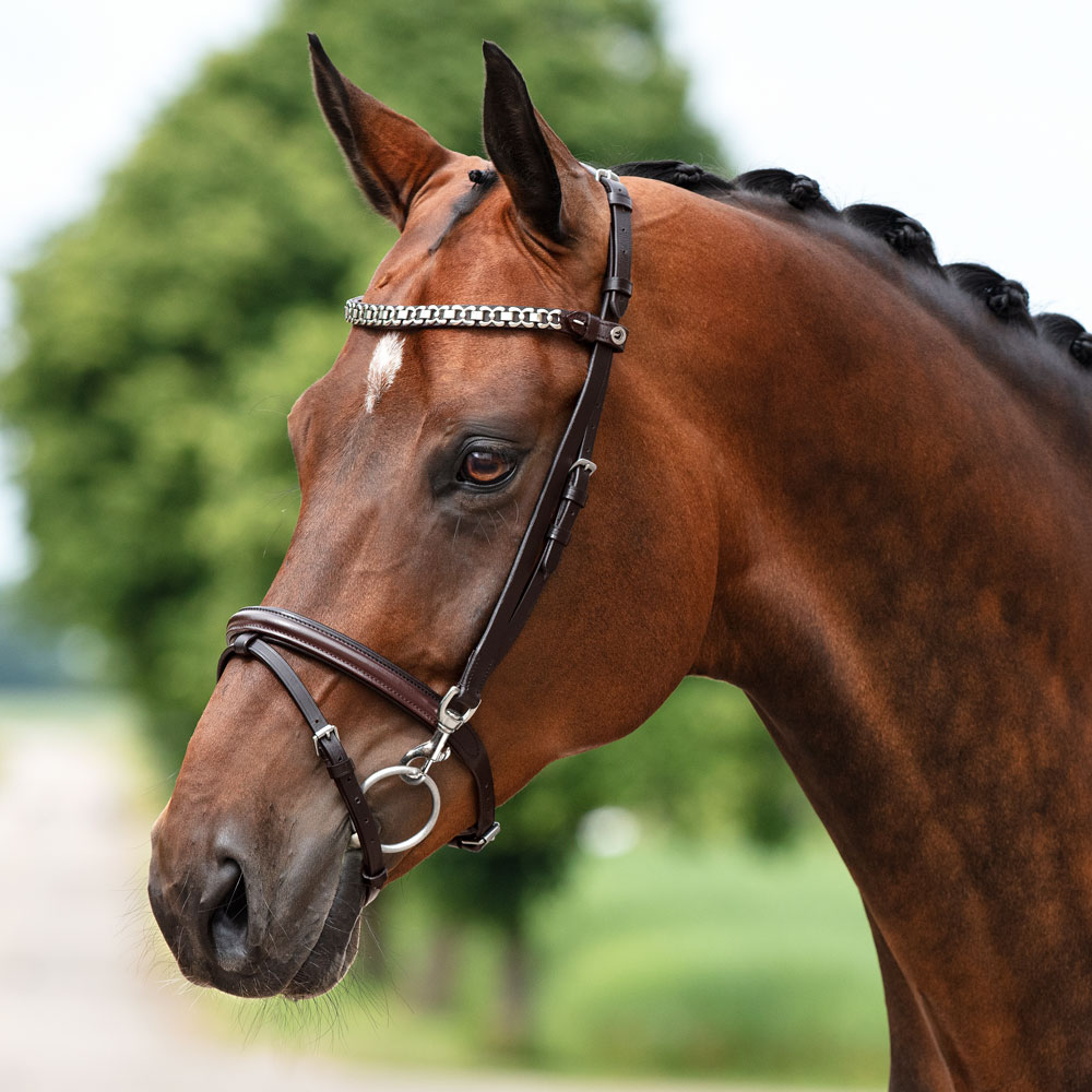 Neusriem gecombineerd met hoofdstel  Corton Fairfield®