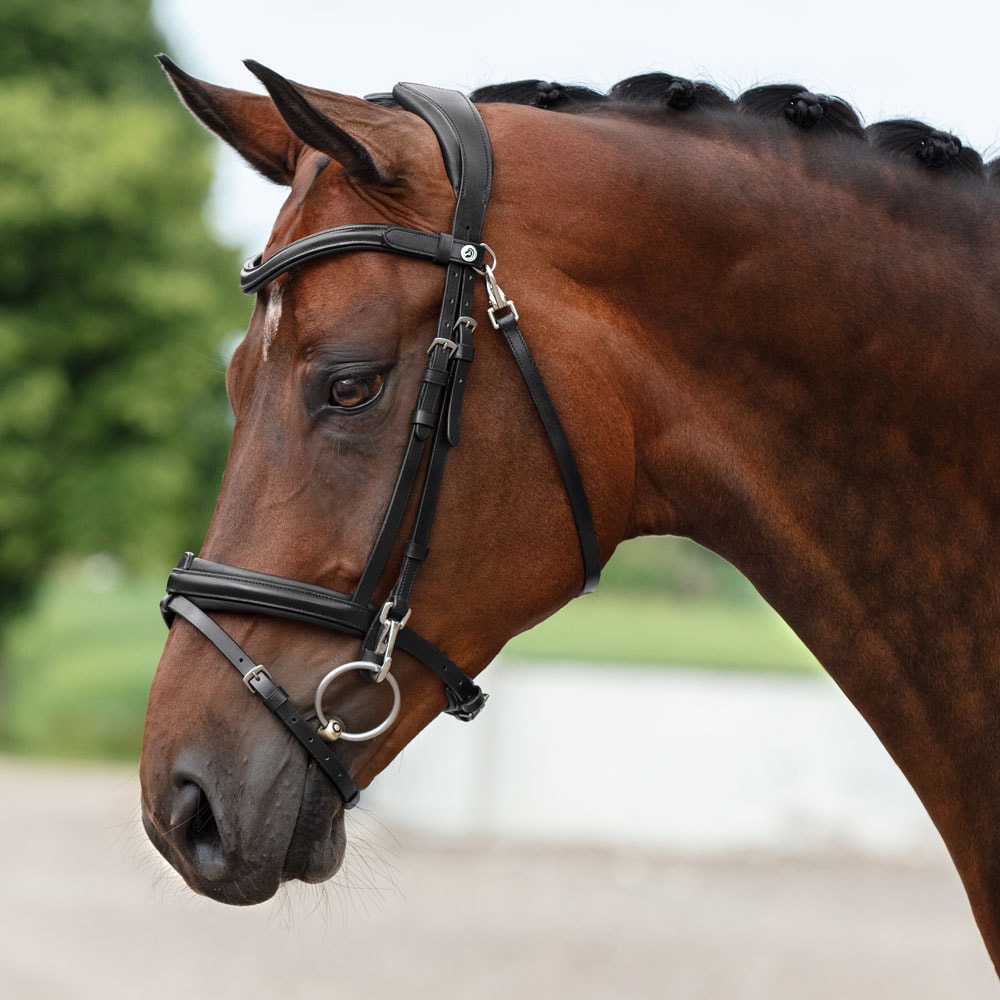 Neusriem gecombineerd met hoofdstel  Skipton Fairfield®