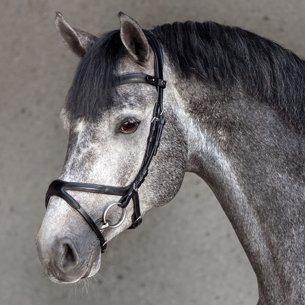 Troepiaal hoofdstel Necton Fairfield®