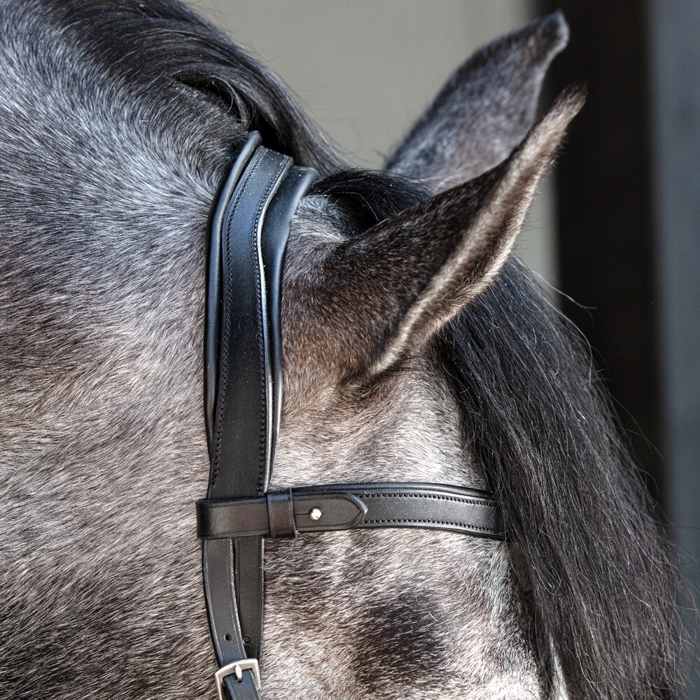 Troepiaal hoofdstel Necton Fairfield®