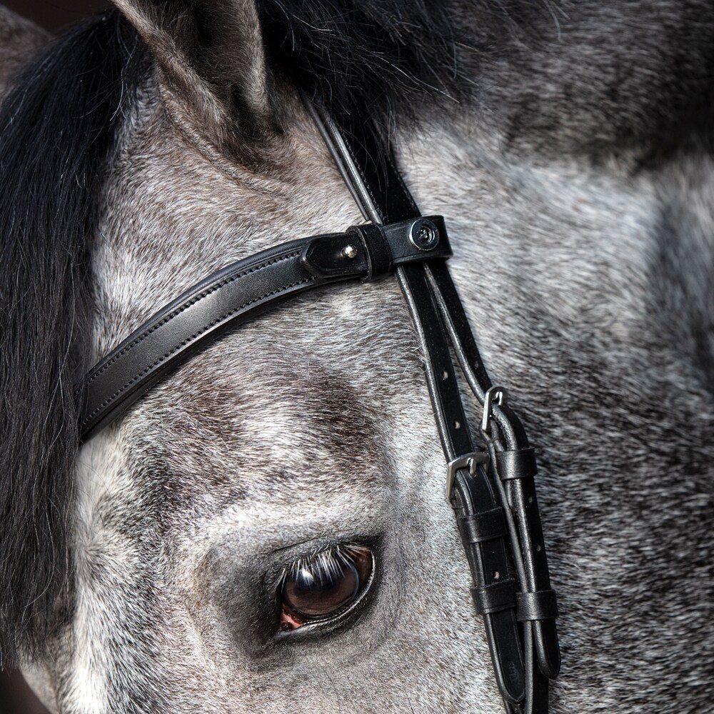 Troepiaal hoofdstel Necton Fairfield®