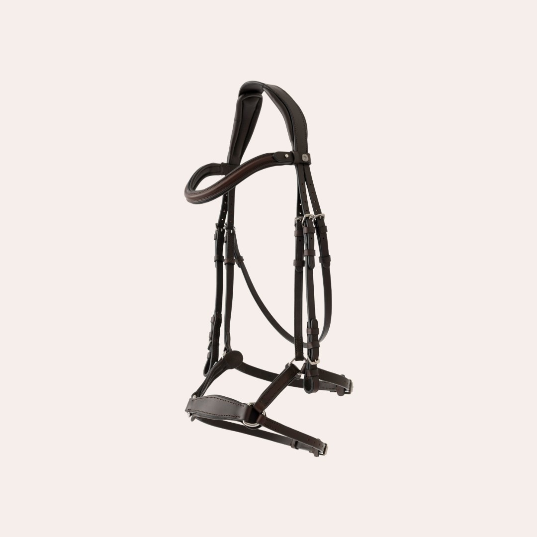 Neusriem gecombineerd met hoofdstel Belmont Fairfield®