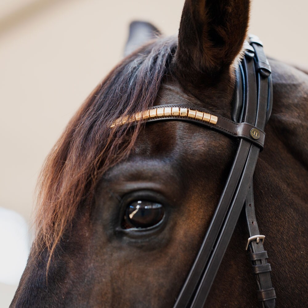 Neusriem gecombineerd met hoofdstel Contender JH Collection®