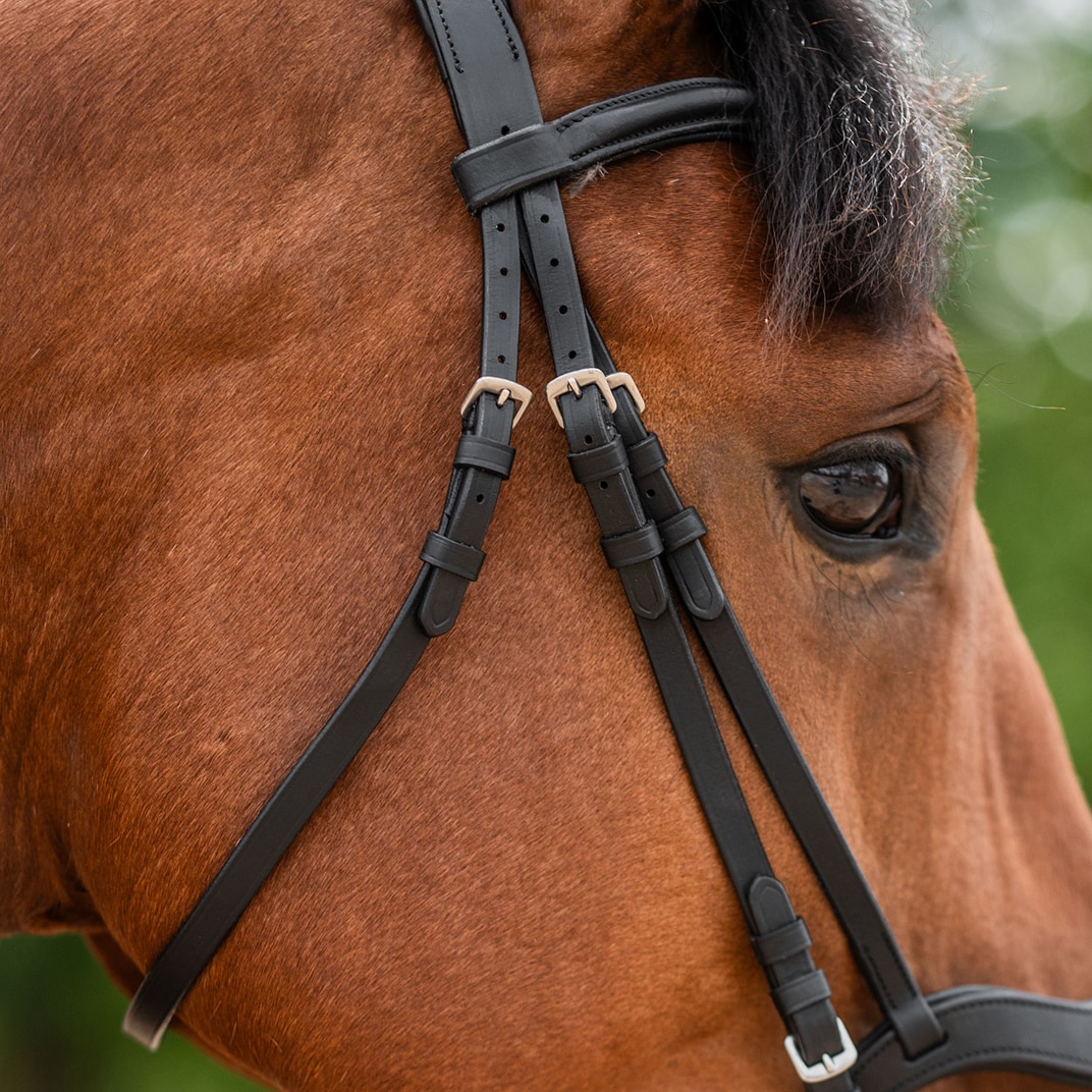 Neusriem gecombineerd met hoofdstel Newmarket Fairfield®