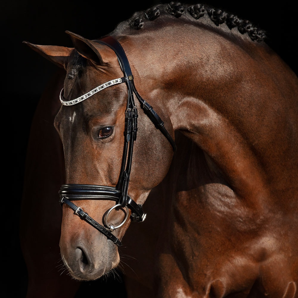 Hoofdstellen Aachen Ancona JH Collection®