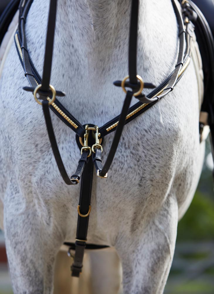 Borstplaat  Axford Fairfield®
