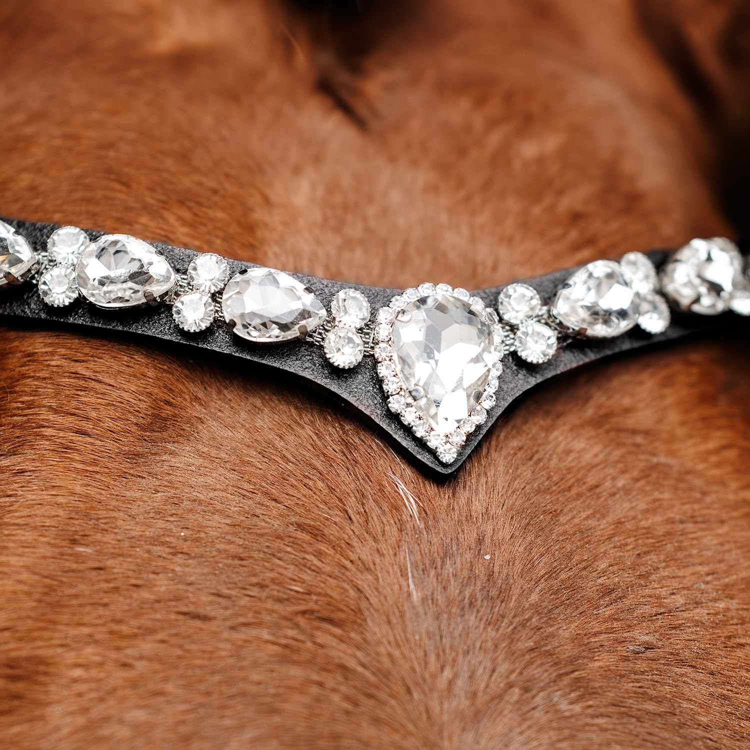 Hoofdband Celine Fairfield®